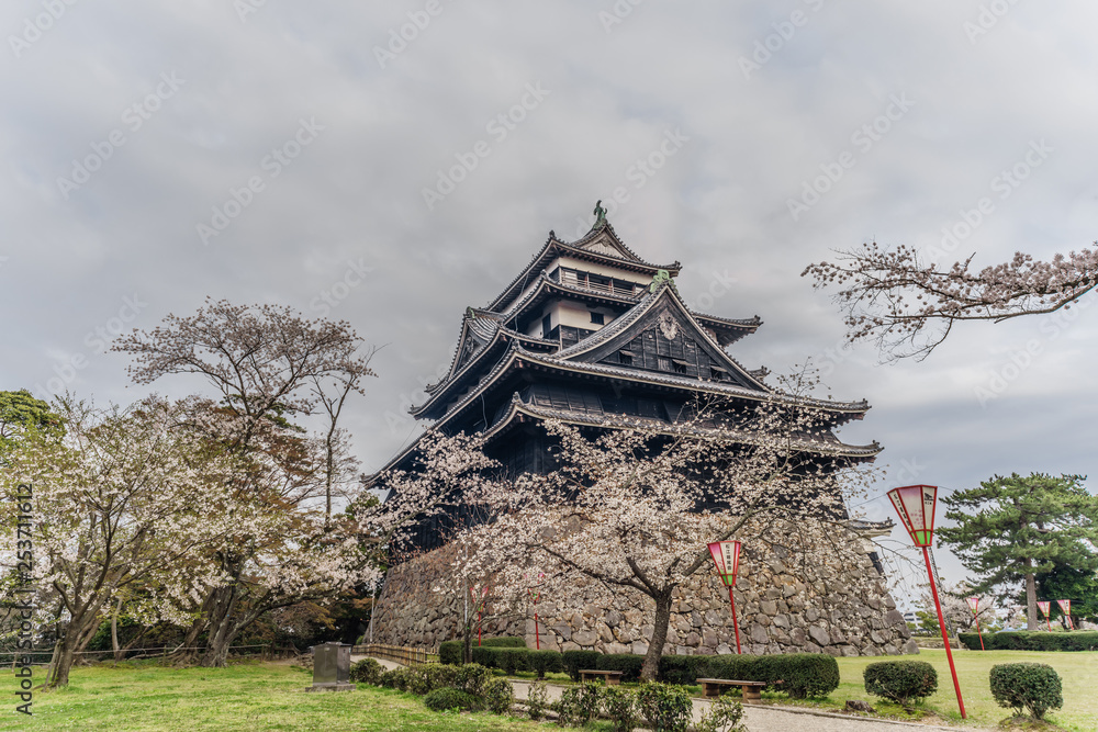 春の松江城の風景