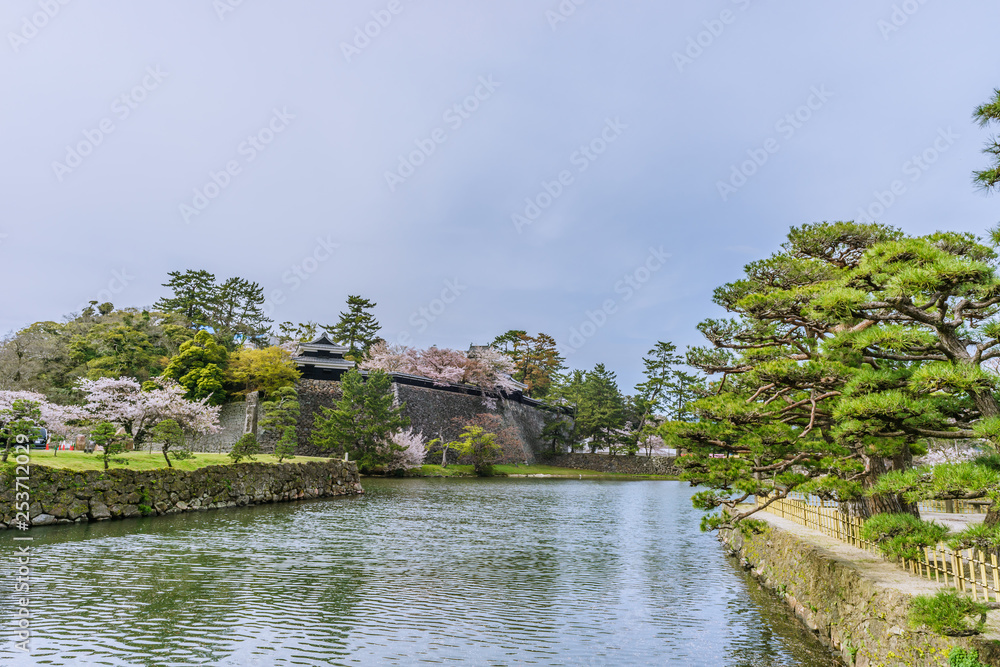 春の松江城の風景