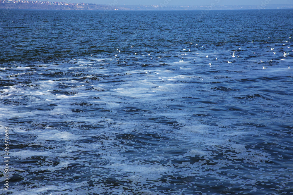 Discharge of dirty industrial wastewater into sea. Poisoning of recreation area by spread of disease, destruction of flora and fauna as result of violation of ecology of sea coast. Storm water, sewage Discharge of dirty industrial wastewater into sea. Poisoning of recreation area by spread of disease, destruction of flora and fauna as result of violation of ecology of sea coast. Storm water, sewage