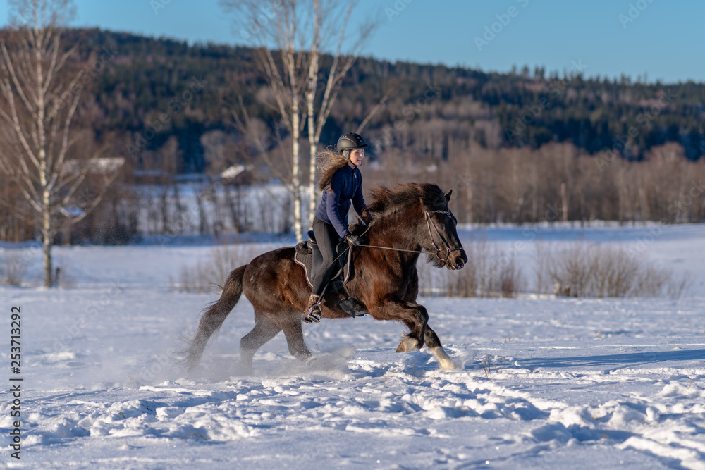Young Swedish woman enjoying a ride on her Icelandic horse in deep snow Young Swedish woman enjoying a ride on her Icelandic horse in deep snow
