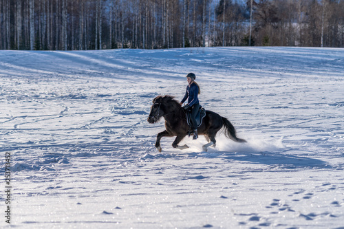 Young Swedish woman galloping with her Icelandic horse in deep snow