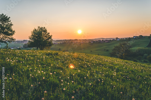 Sunset over a field