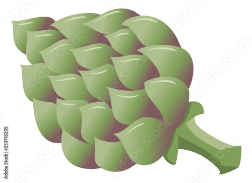 drawn cartoon artichoke