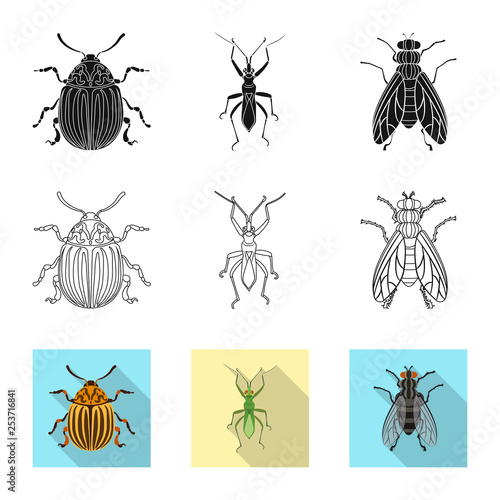 Vector illustration of insect and fly icon. Collection of insect and element vector icon for stock.