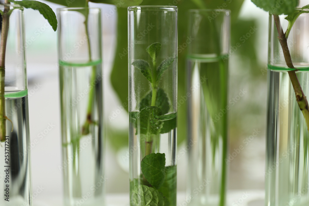 Obraz premium Glass tubes with plants on blurred background, closeup. Biological chemistry