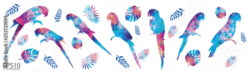 Colorful Macaw bird and tropical leaf pattern background.