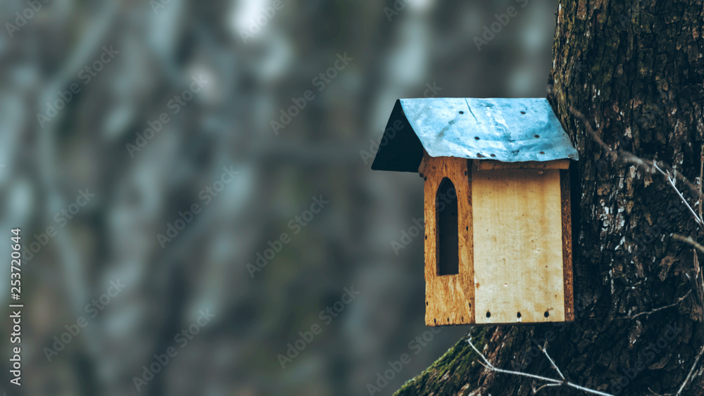 house for birds in the tree house for birds in the tree