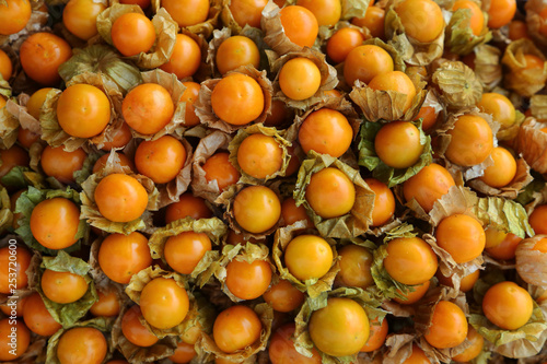 background of oranges