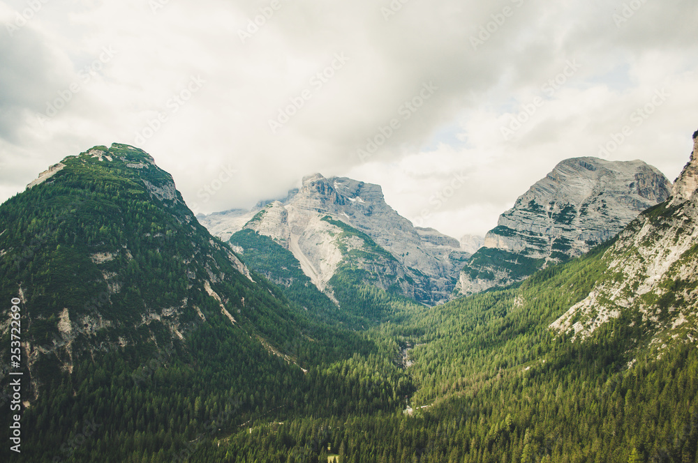 Fototapeta premium Amazing glacier made valley in the Italian Dolomites with trees in the summer ready for a hike or active holiday 