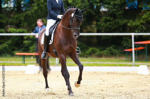 Horse dressage horse in a dressage competition in a combined gallopade in the uphill position.. © RD-Fotografie