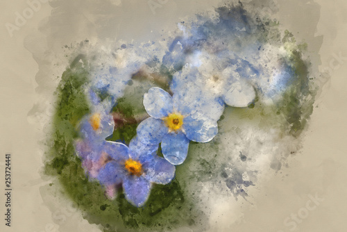 Watercolour painting of Vibrant forget-me-not Spring flowers with shallow depth of field photo