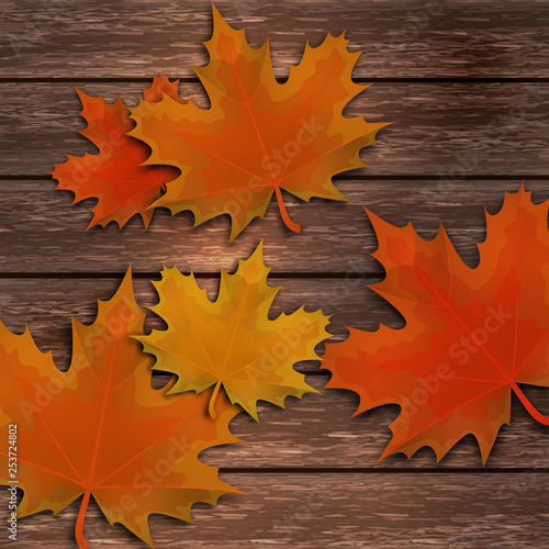 Bright autumn maple leaves on the background of wooden boards.