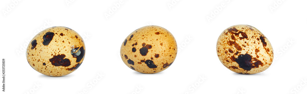 Fresh quail eggs on isolated background Fresh quail eggs on isolated background