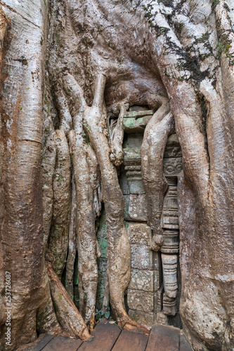 Ta Prohm Temple, Cambodia: Tree grown into building