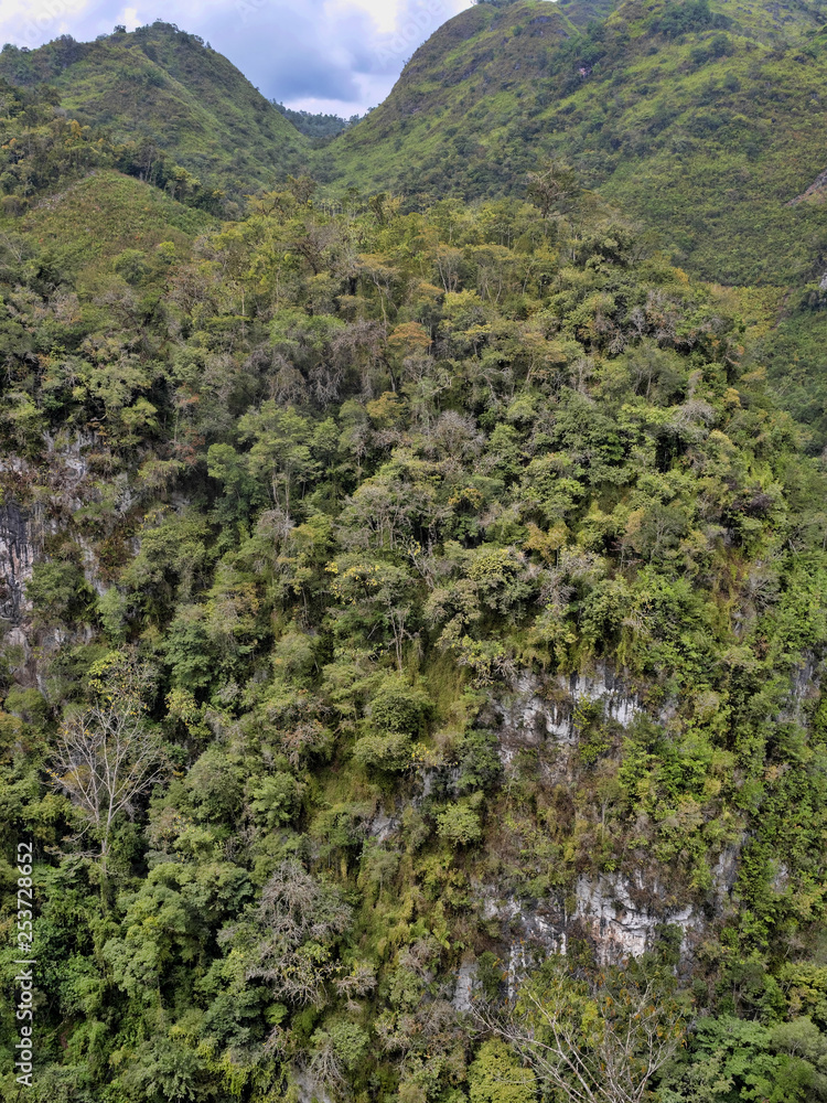 Rocks covered with tropical vegetation, Guatemala.