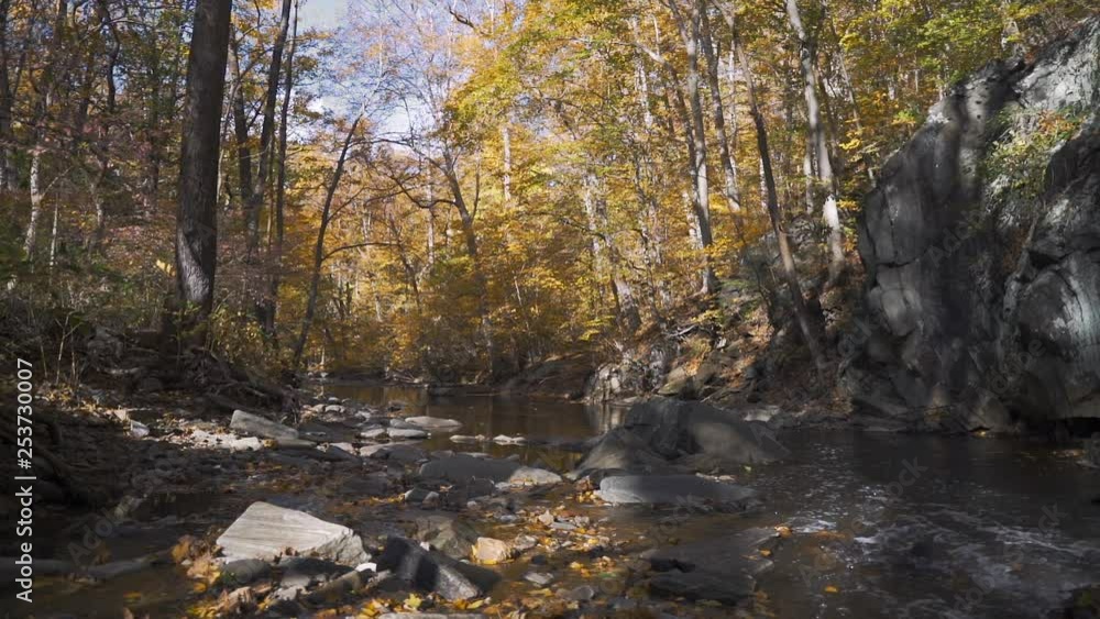 Colorful fall stream with autumn leaves falling in slow motion static Colorful fall stream with autumn leaves falling in slow motion static