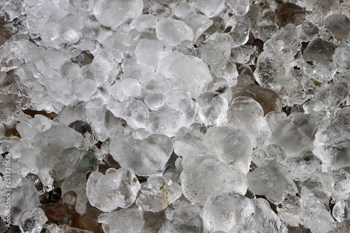 Frost near the stream in the winter.