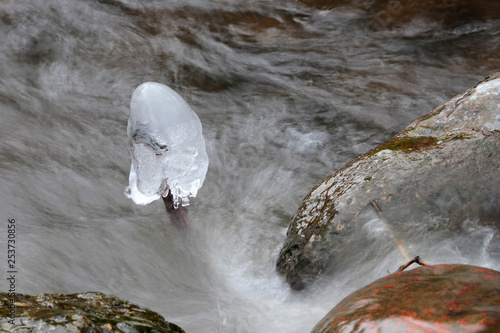 Frost near the stream in the winter.