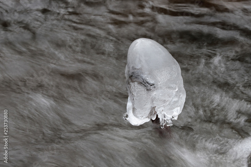 Frost near the stream in the winter.