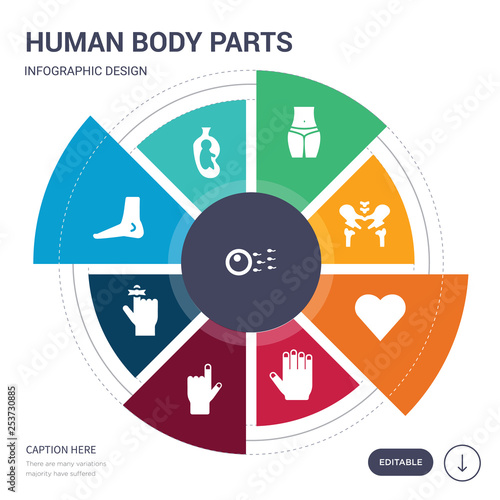 set of 9 simple human body parts vector icons. contains such as fertilization, fetus in an uterus, foot side view, hand finger with a ribbon, hand gesture raising the index finger, hand showing