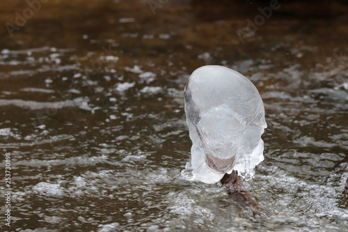 Frost near the stream in the winter.