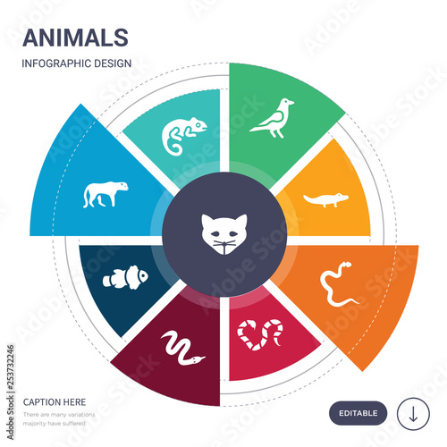 set of 9 simple animals vector icons. contains such as cat, chameleon, cheetah, clown fish, copperhead, coral snake, cottonmouth icons and others. editable infographics design