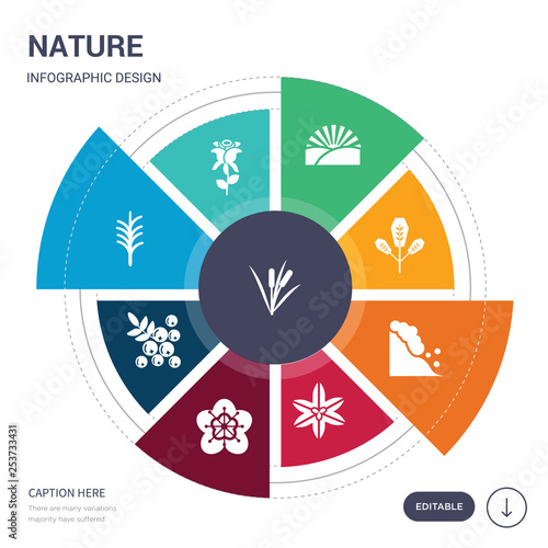 set of 9 simple nature vector icons. contains such as reed, rose, rosemary, rowan, sakura, sisyrinchium, snowslide icons and others. editable infographics design
