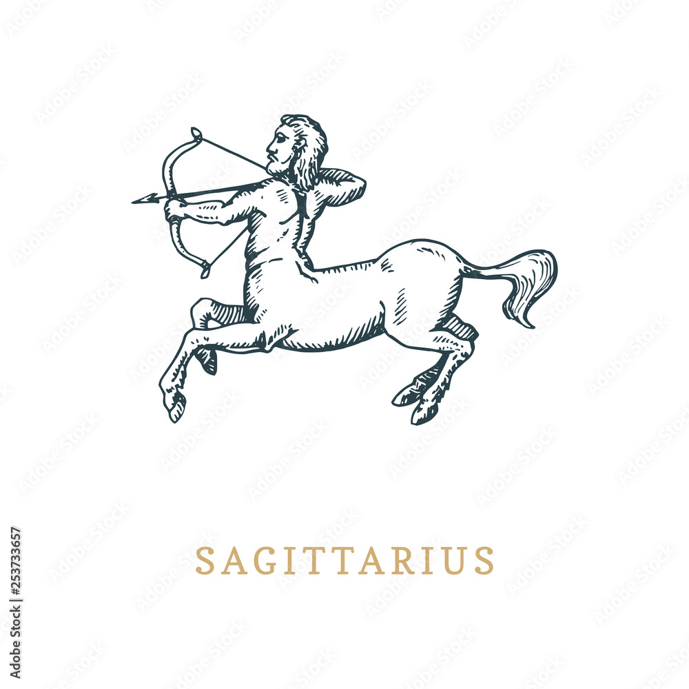 Sagittarius zodiac symbol,hand drawn in engraving style. Vector graphic retro illustration of astrological sign Centaur.