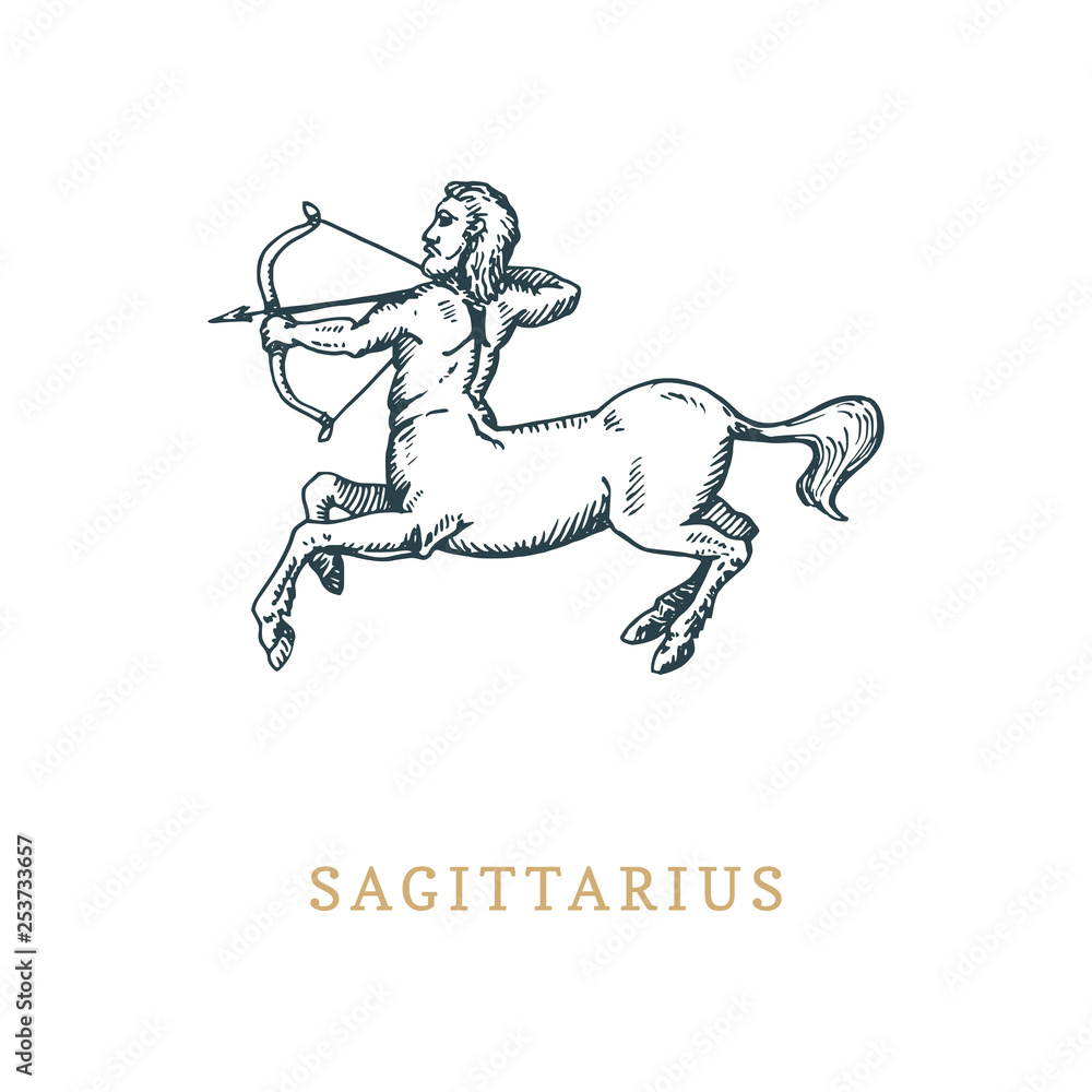 Sagittarius zodiac symbol,hand drawn in engraving style. Vector graphic retro illustration of astrological sign Centaur. Sagittarius zodiac symbol,hand drawn in engraving style. Vector graphic retro illustration of astrological sign Centaur.