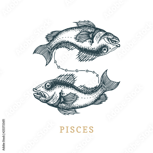 Pisces zodiac symbol, hand drawn in engraving style. Vector graphic retro illustration of astrological sign Fish.