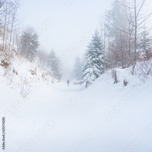 Walk in the winter foggy forest. © patma145