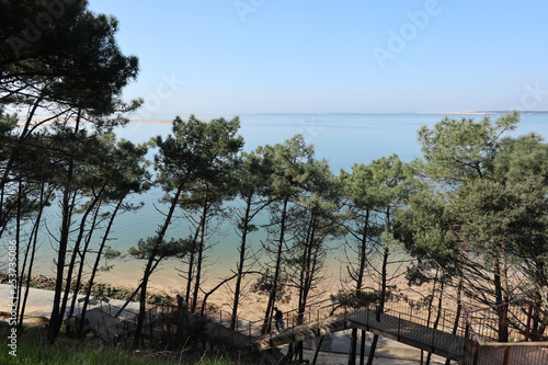 Sheltering beneath a pine forest at the foot of the Dune du Pyla nationally-listed site wonder panorama