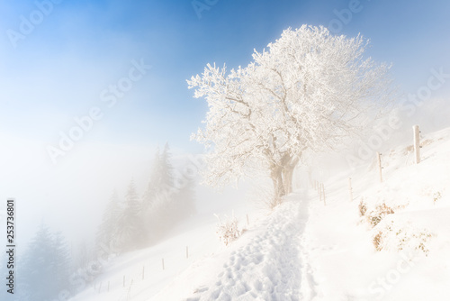 Winter snow-covered landscape. © patma145