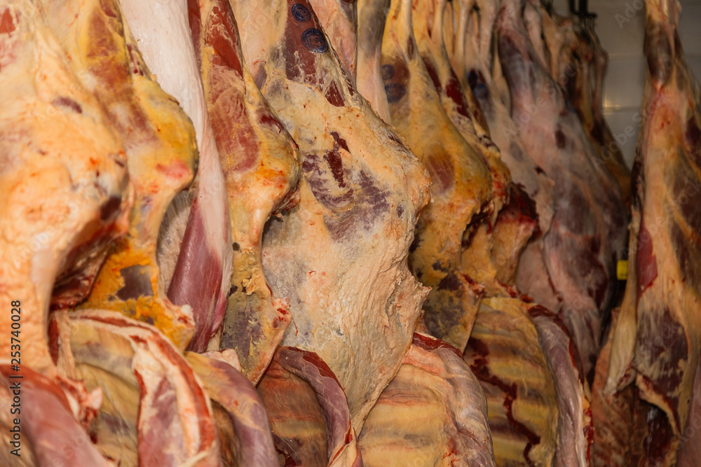 Refrigerated warehouse, hanging hooks of frozen lamb carcasses. Halal cut. Refrigerated warehouse, hanging hooks of frozen lamb carcasses. Halal cut.