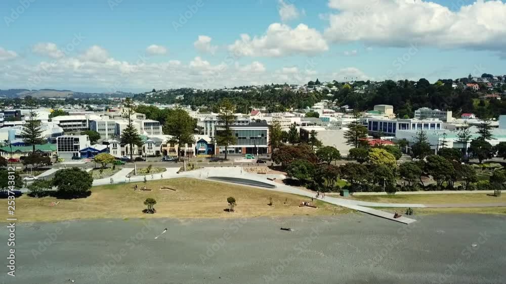Drone view of Napier Beach and boulevard, New Zealand. A seagull almost hits the drone.