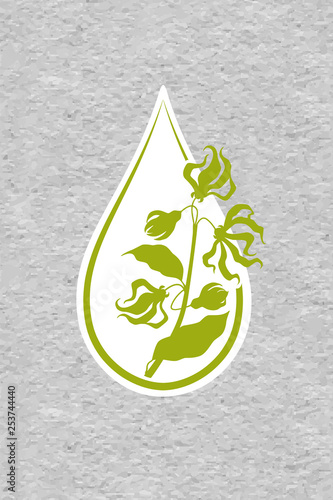 A bottle with essential oil of ylang-ylang (flat icon). A drop of ylang ylang flower essential oil (logo). Branches of cananga tree. Aromatherapy, perfumery, cosmetics, spa logo. ?raft paper textured