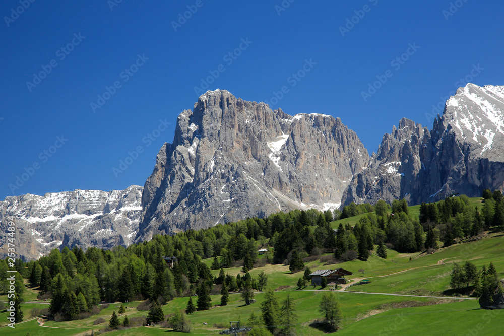Seiser Alm in den Dolomiten, Südtirol, Italien, Europa