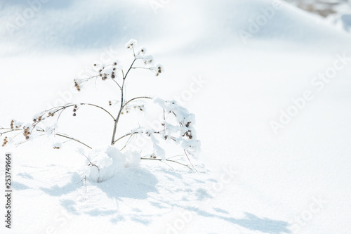 Snowy surface as background white snow selected focus © Anastassiya 