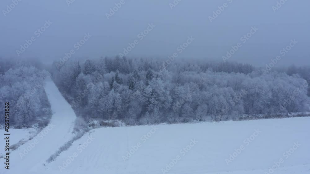 Aerial view of forest during winter. Road going into the forest. Aerial view of forest during winter. Road going into the forest.