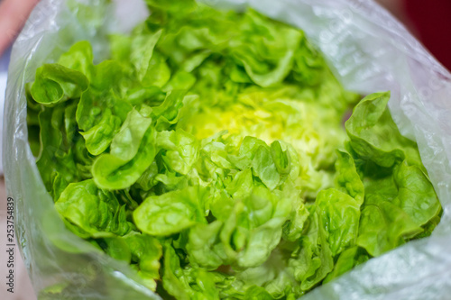 Fresh green salad.