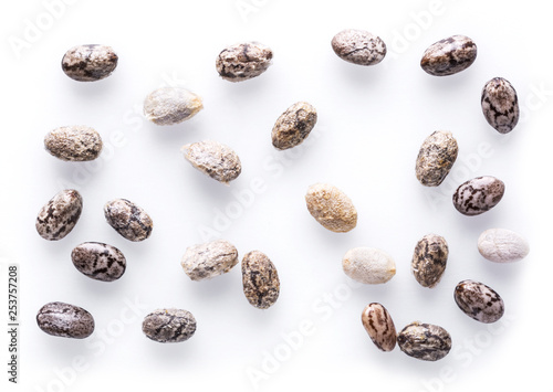 Several Chia seeds isolated on white background. Macro shot.