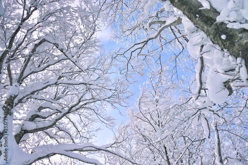 雪と青空 © Aki