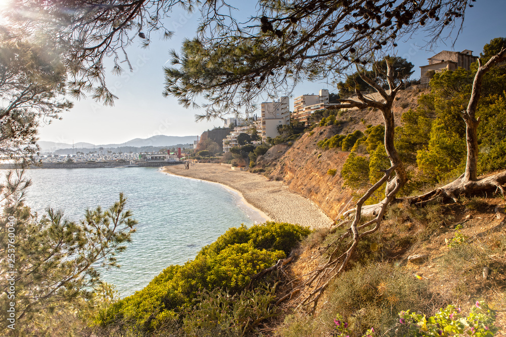 Fototapeta premium The Bay of Portals Nous in Mallorca, Spain