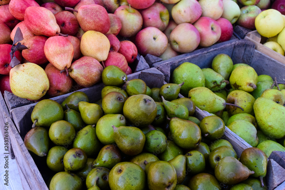 apples apples