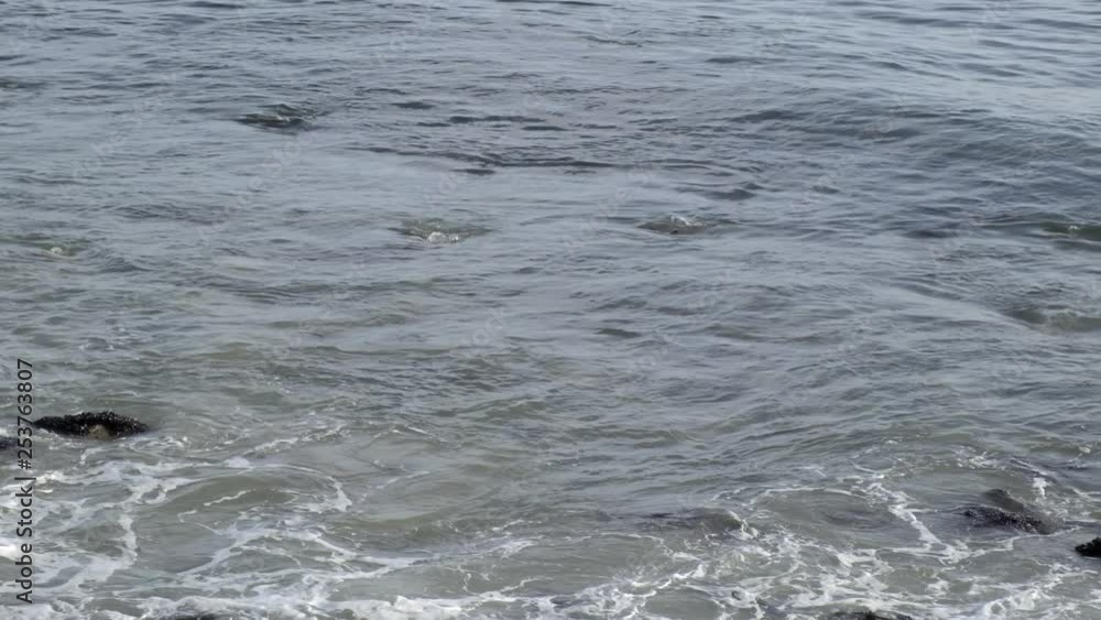Serene nostalgia, ocean water waves forming and hitting the rock shoreline at Big Rock Malibu beach
(medium shot) (slow motion shot) Serene nostalgia, ocean water waves forming and hitting the rock shoreline at Big Rock Malibu beach
(medium shot) (slow motion shot)