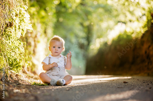 Little baby boy, toddler child, playing with leaves on a sunny path in the forest