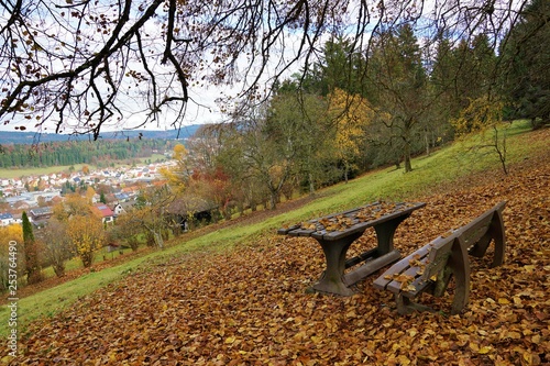 Eine Wanderung am Honberg in tuttlingen in deutschland im Herbst photo