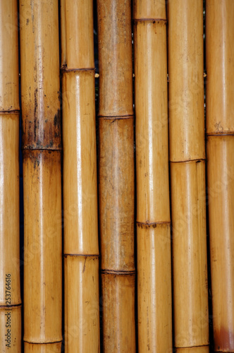 Nahaufnahme Bambus als Bildhintergrund