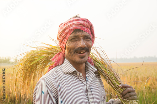 Photography Farmer And rice Sheaf