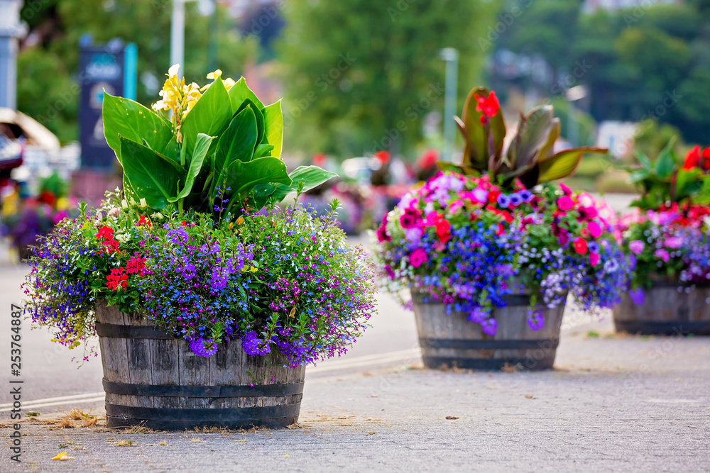 Pot with colorful flowering plants in a typical street of city